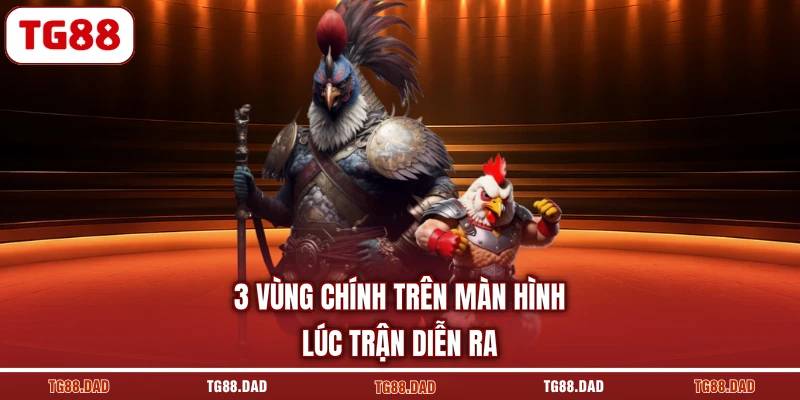 3 vùng chính trên màn hình lúc trận diễn ra