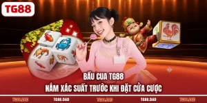 Bầu Cua TG88 Nắm Xác Suất Trước Khi Đặt Cửa Cược