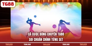 Cá Cược Bóng Chuyền TG88 - Soi Chuẩn Chỉnh Từng Set