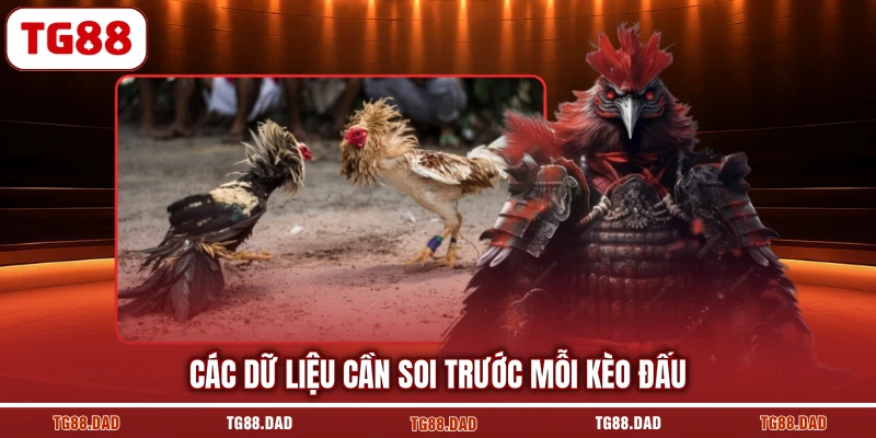 Các dữ liệu cần soi trước mỗi kèo đấu