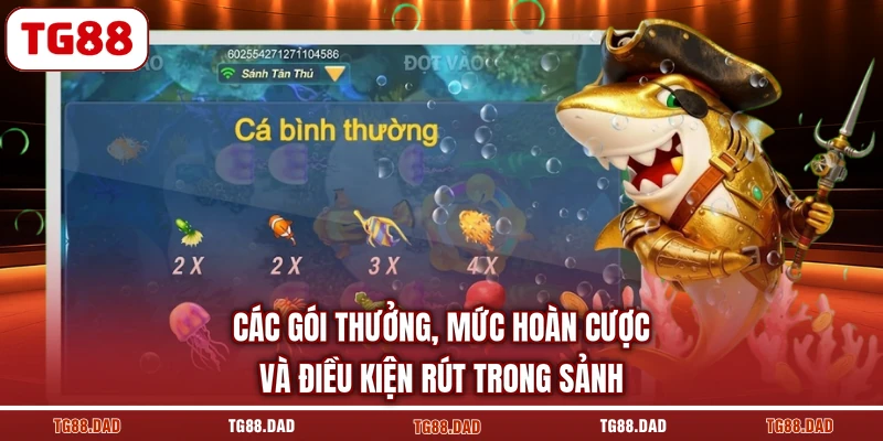 Các gói thưởng, mức hoàn cược và điều kiện rút trong sảnh