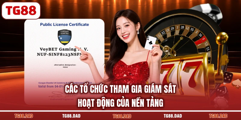 Các tổ chức tham gia giám sát hoạt động của nền tảng