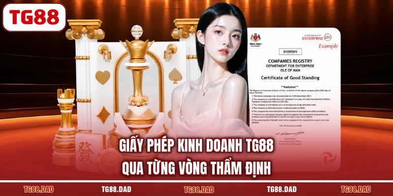 Giấy phép kinh doanh TG88 qua từng vòng thẩm định