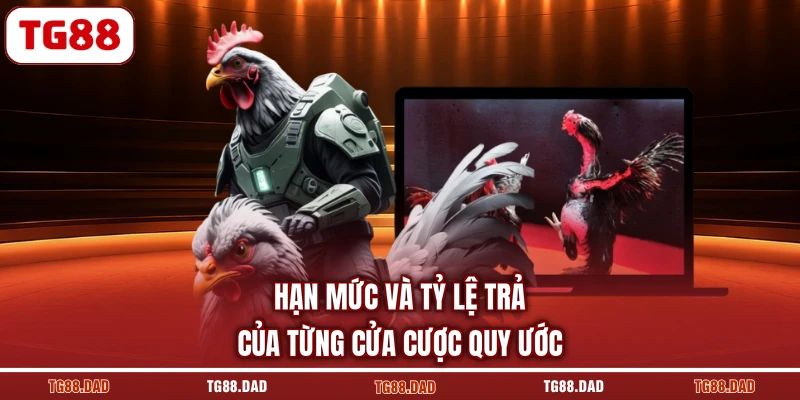 Hạn mức và tỷ lệ trả của từng cửa cược quy ước