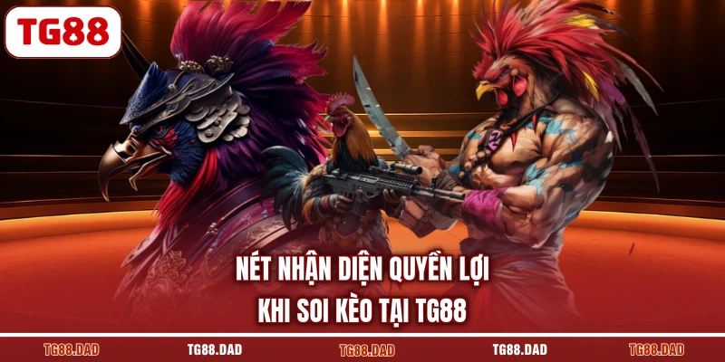 Nét nhận diện quyền lợi khi soi kèo tại TG88