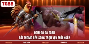 ODIN Đá Gà TG88 Sới Thomo Lên Sóng Trọn Vẹn Mỗi Ngày