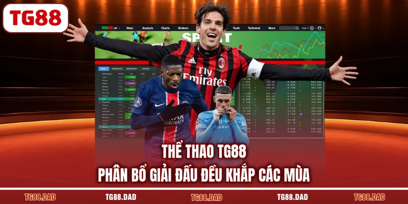 Thể Thao TG88 phân bổ giải đấu đều khắp các mùa