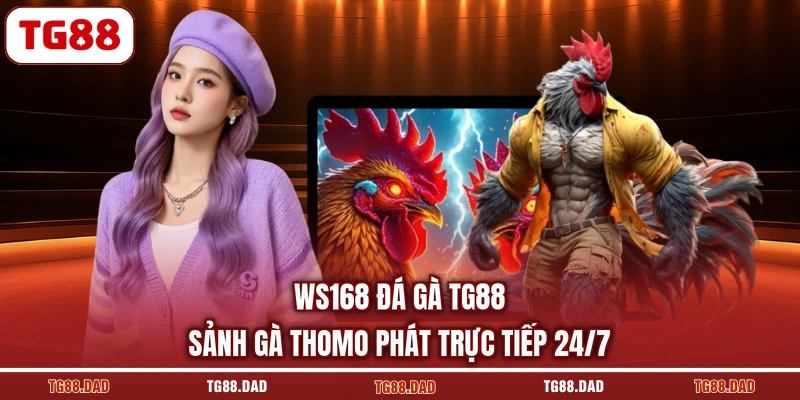 WS168 Đá Gà TG88 Sảnh Gà Thomo Phát Trực Tiếp 24/7